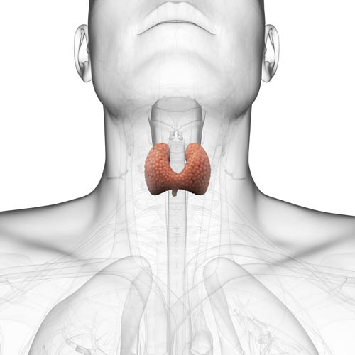 thyroid treatment